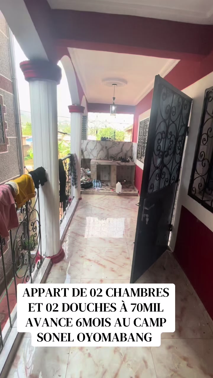 @DINO~IMMO~237🇨🇲🇨🇲