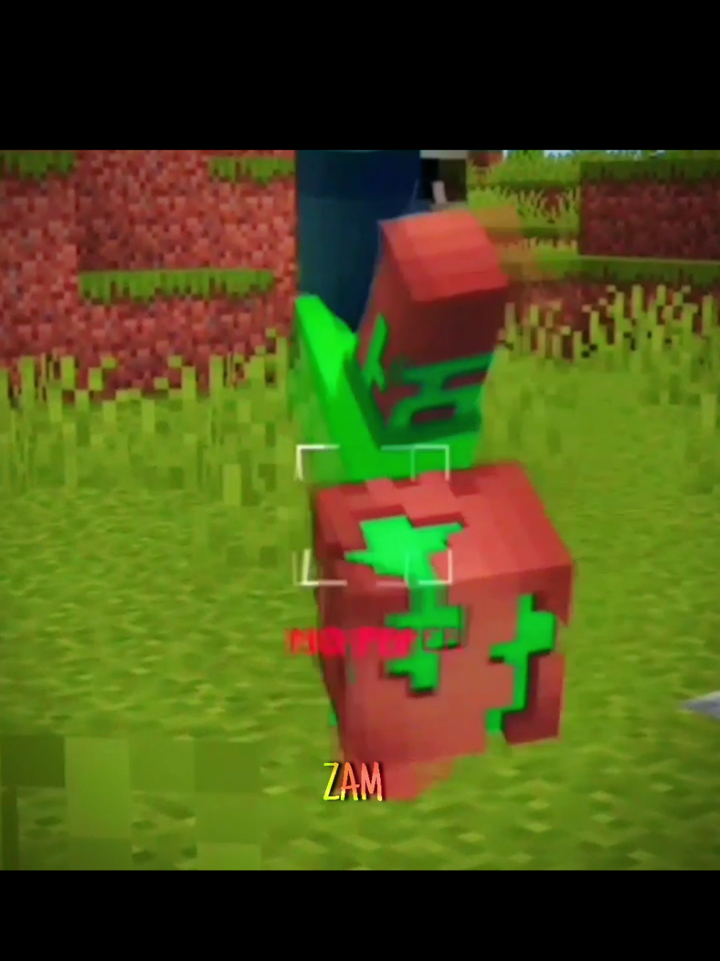 @&iexcl;ZAM! ★