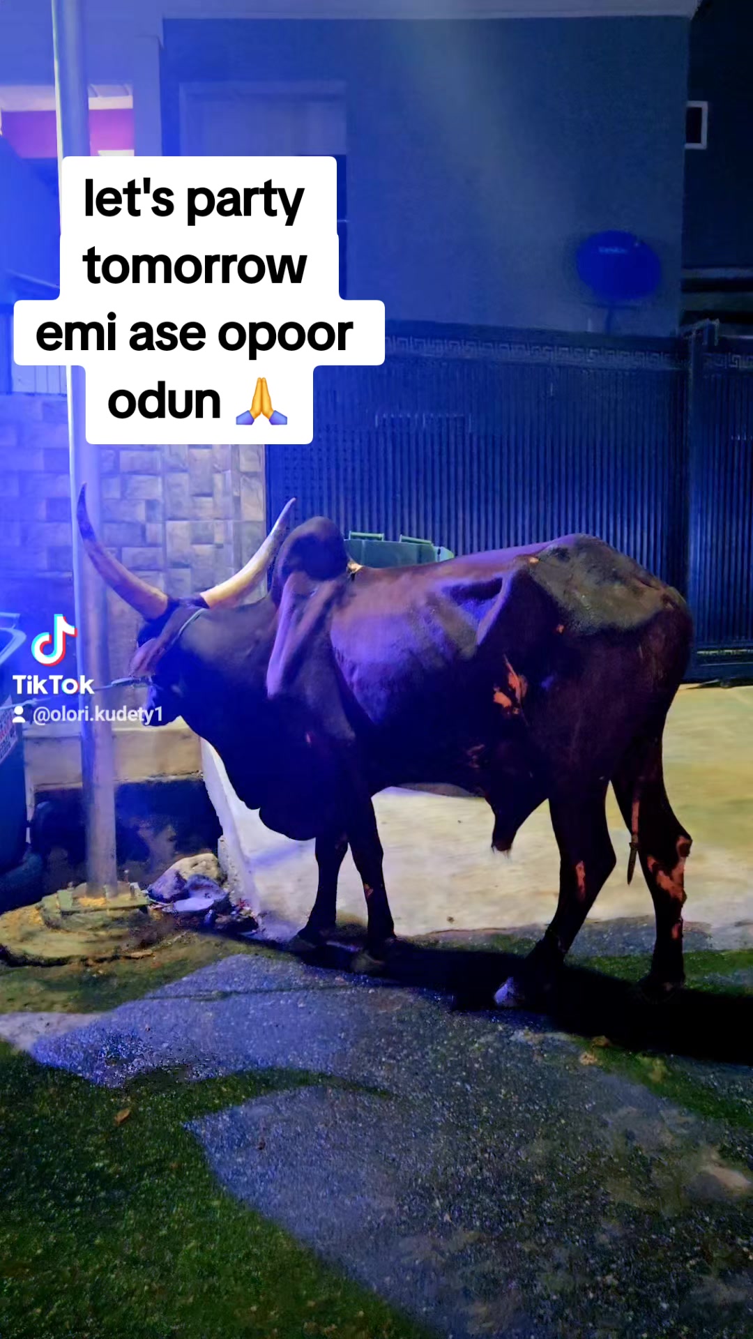 @Olori kudety 💞💞💞💞💞💞💞