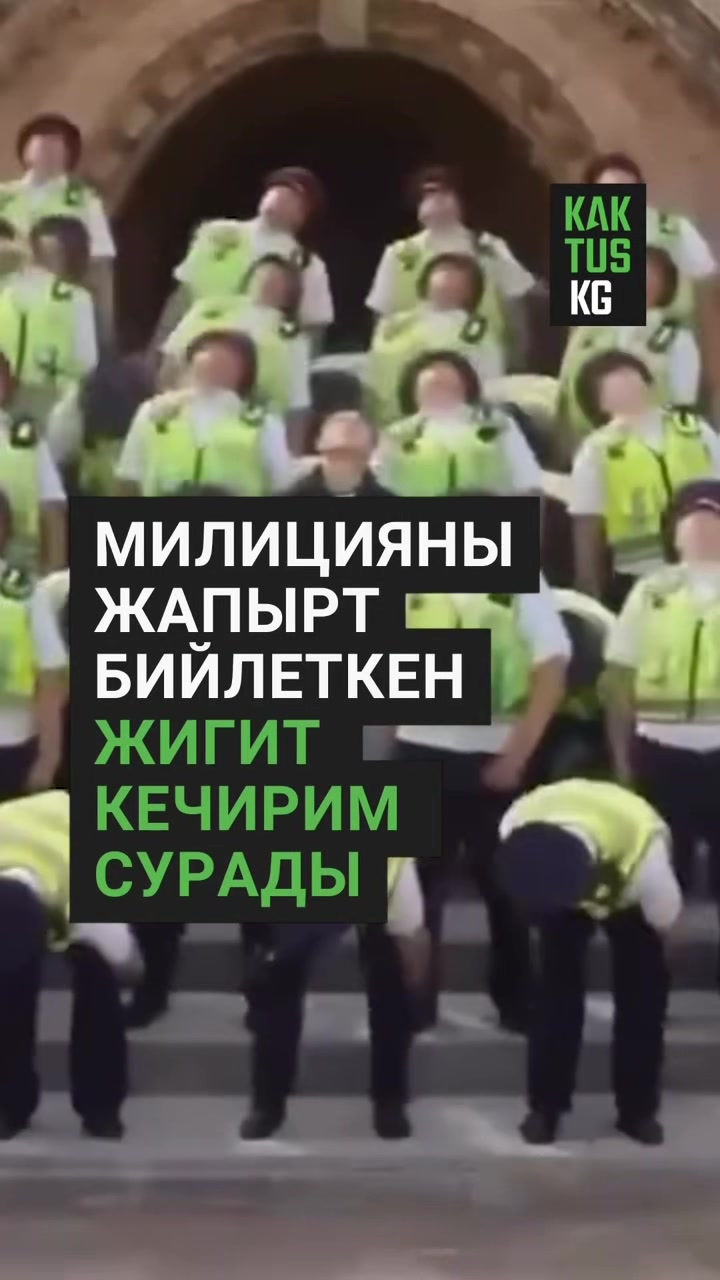 @Kaktus KG