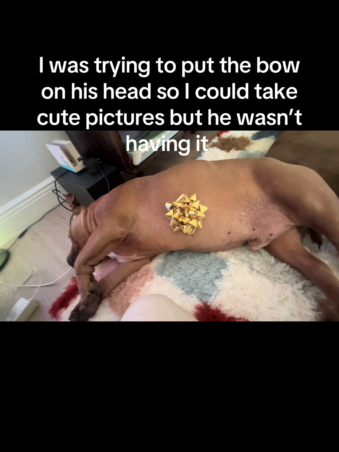 @BlockHeadCutie