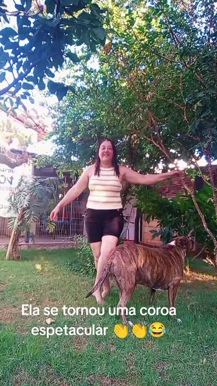 @celiasantos7517