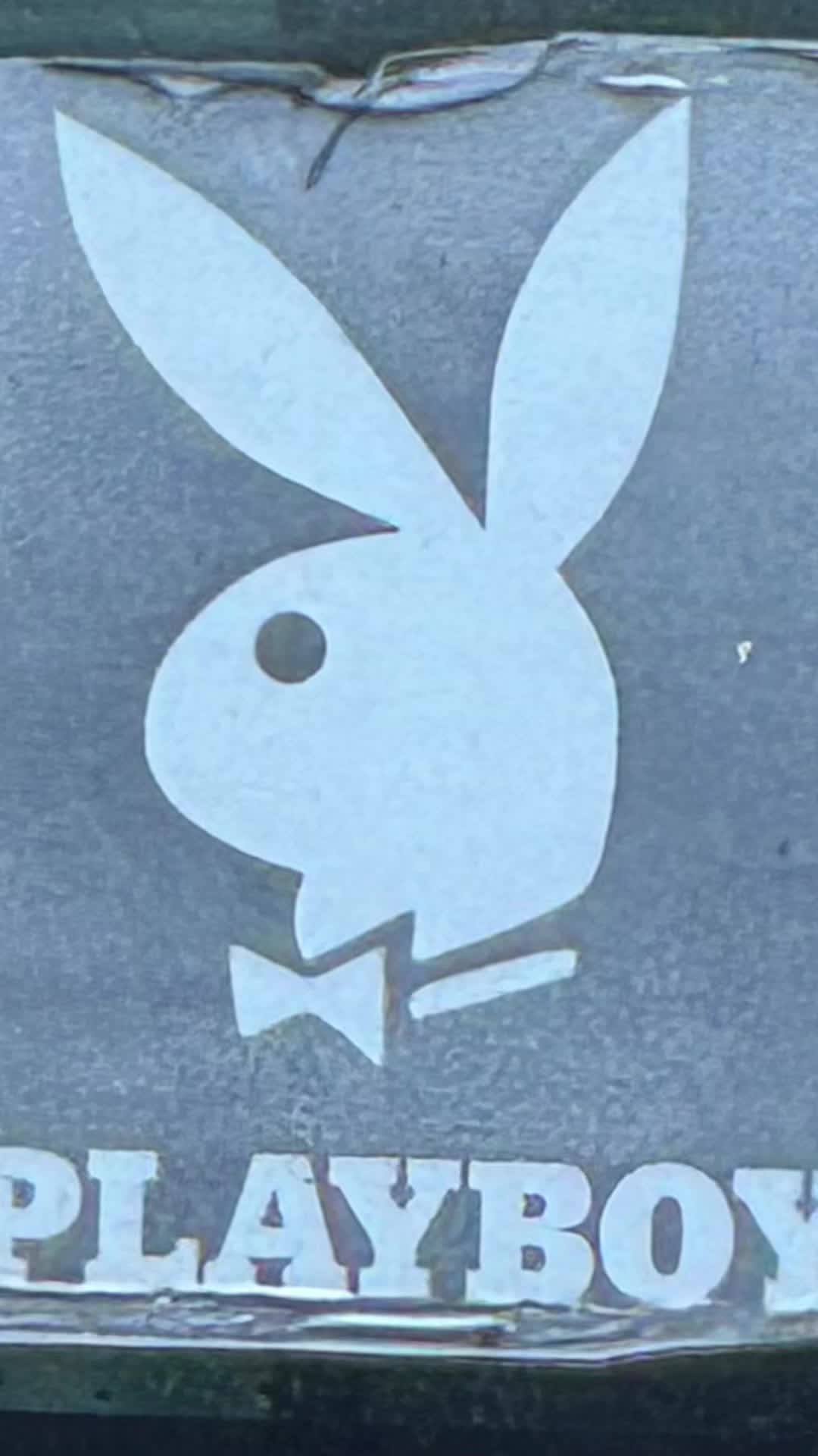 @$$$$$❤️❤️❤️❤️❤️