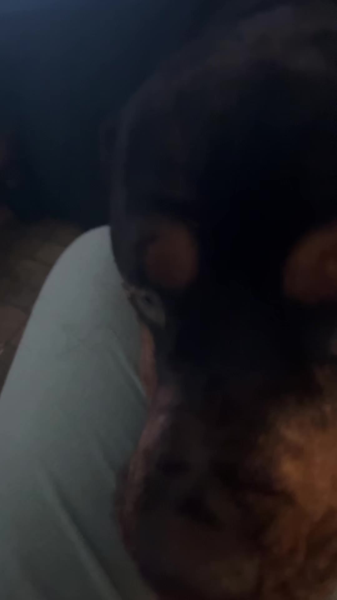 @bella butt