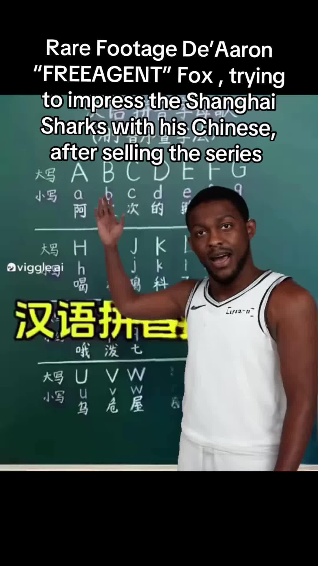 @chibotai