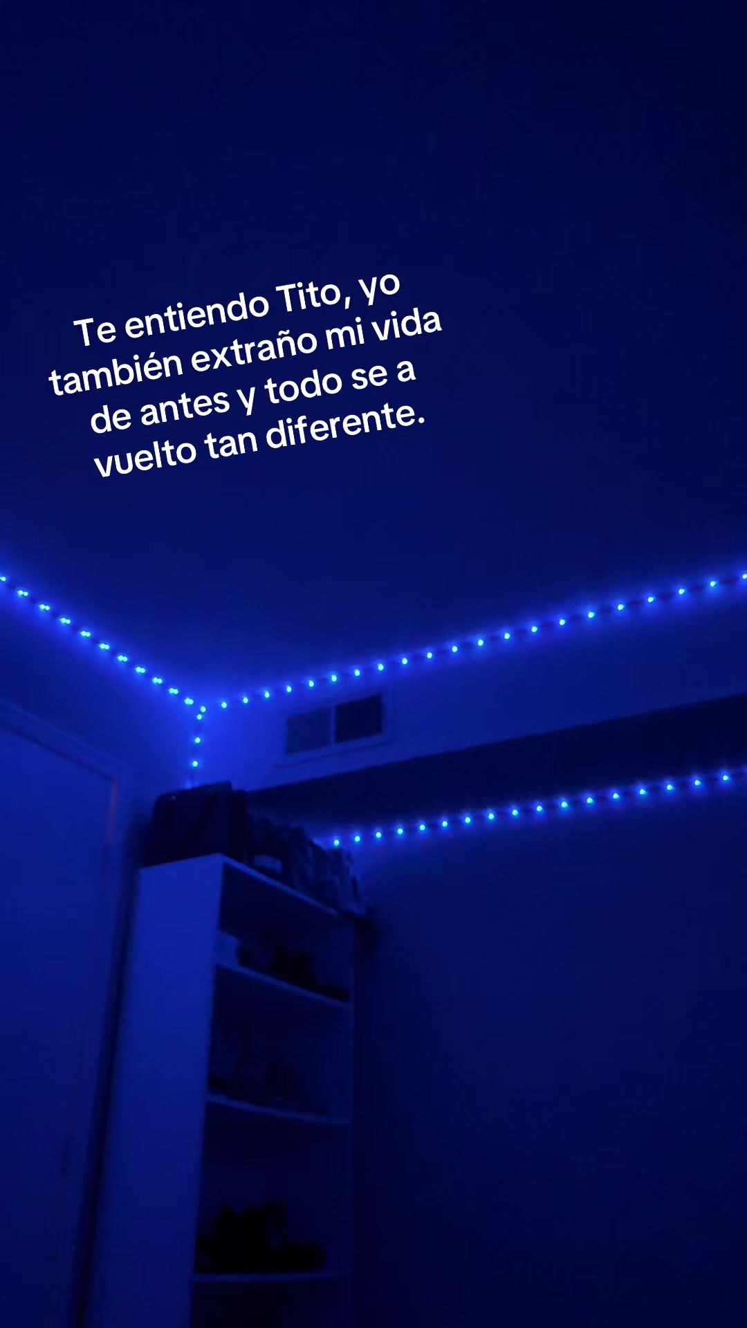@&Acirc;m&ecirc;l&icirc;a &Acirc;g&ucirc;st&icirc;n