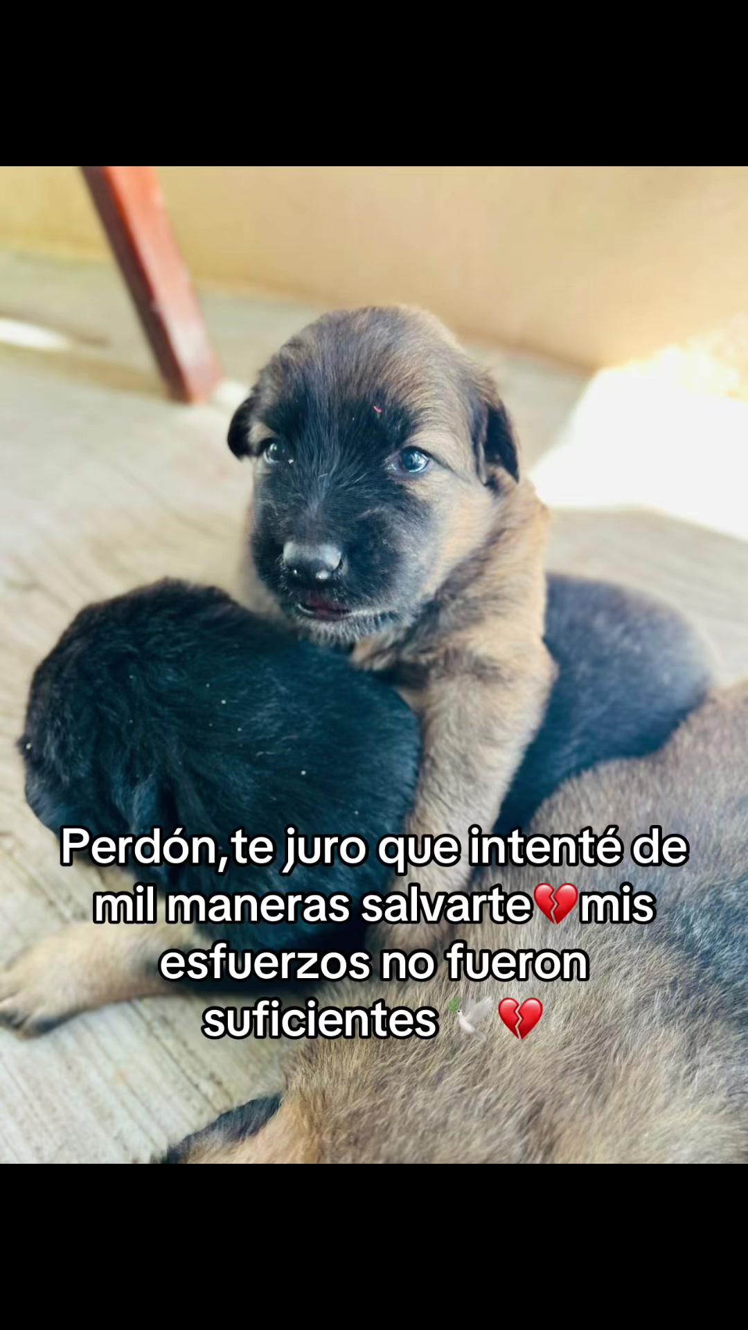 @Gloria aguilar