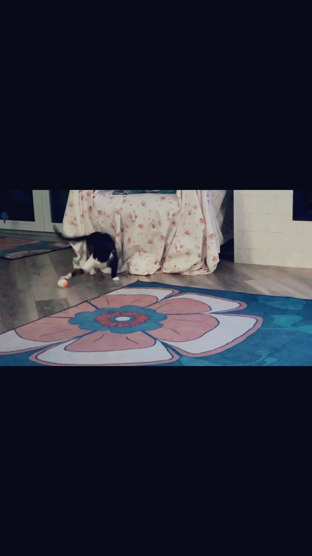 @HopesDreamRescue