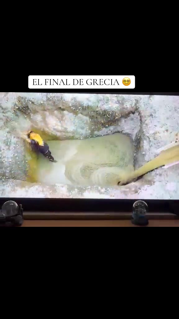 @Fabi  B&aacute;maca 🦋