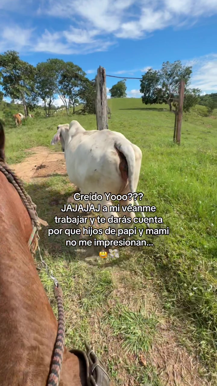 @Didier_🤠