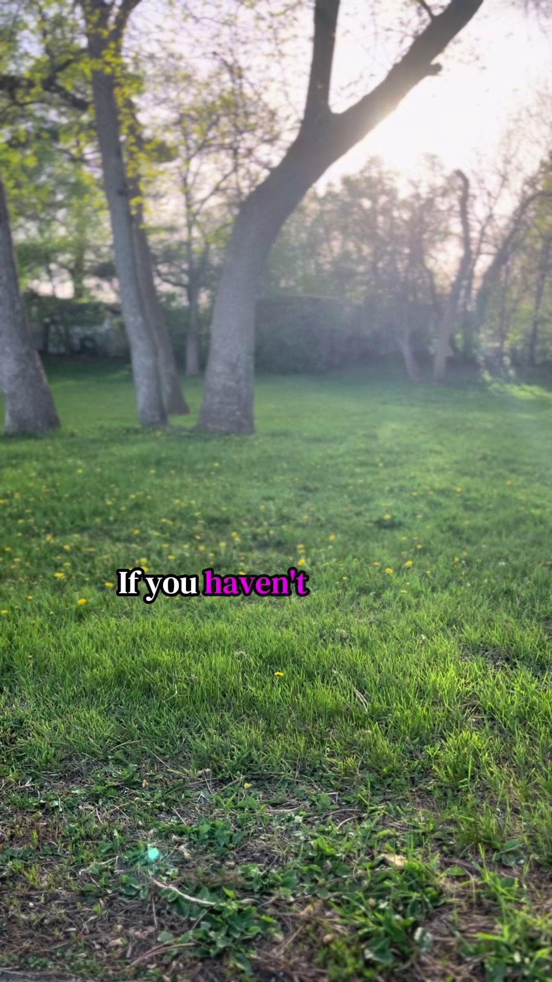 @LavenderAndLanterns