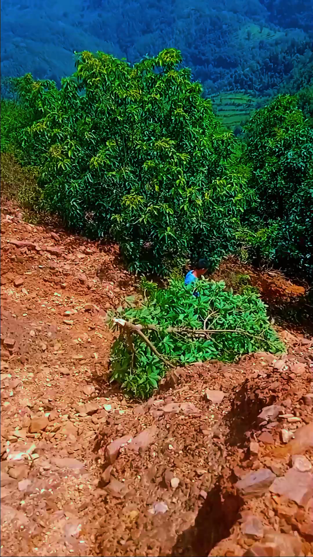 @Dipesh 🅰️ Bhandari