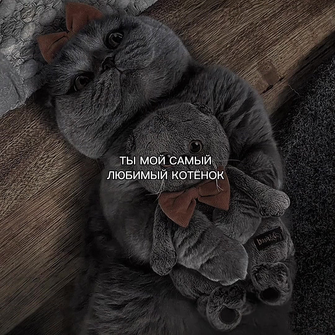 @ХХИКА
