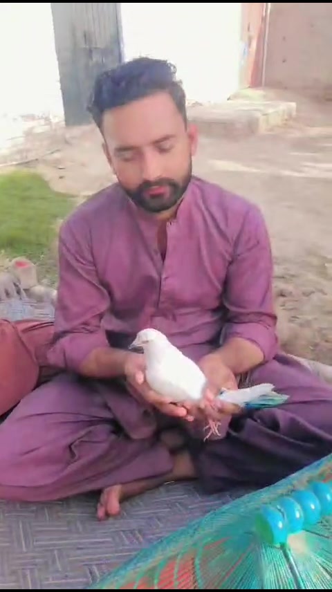 @malik Ali