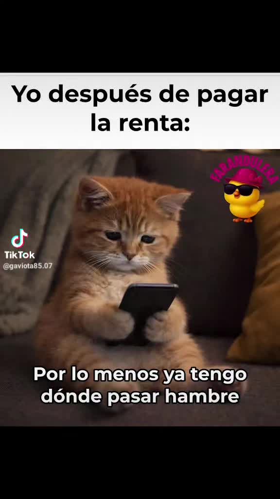 @alexisg1965