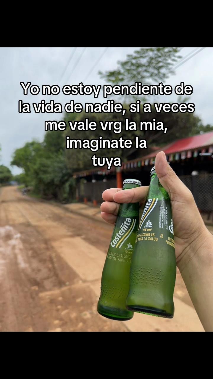 @luismamoreno