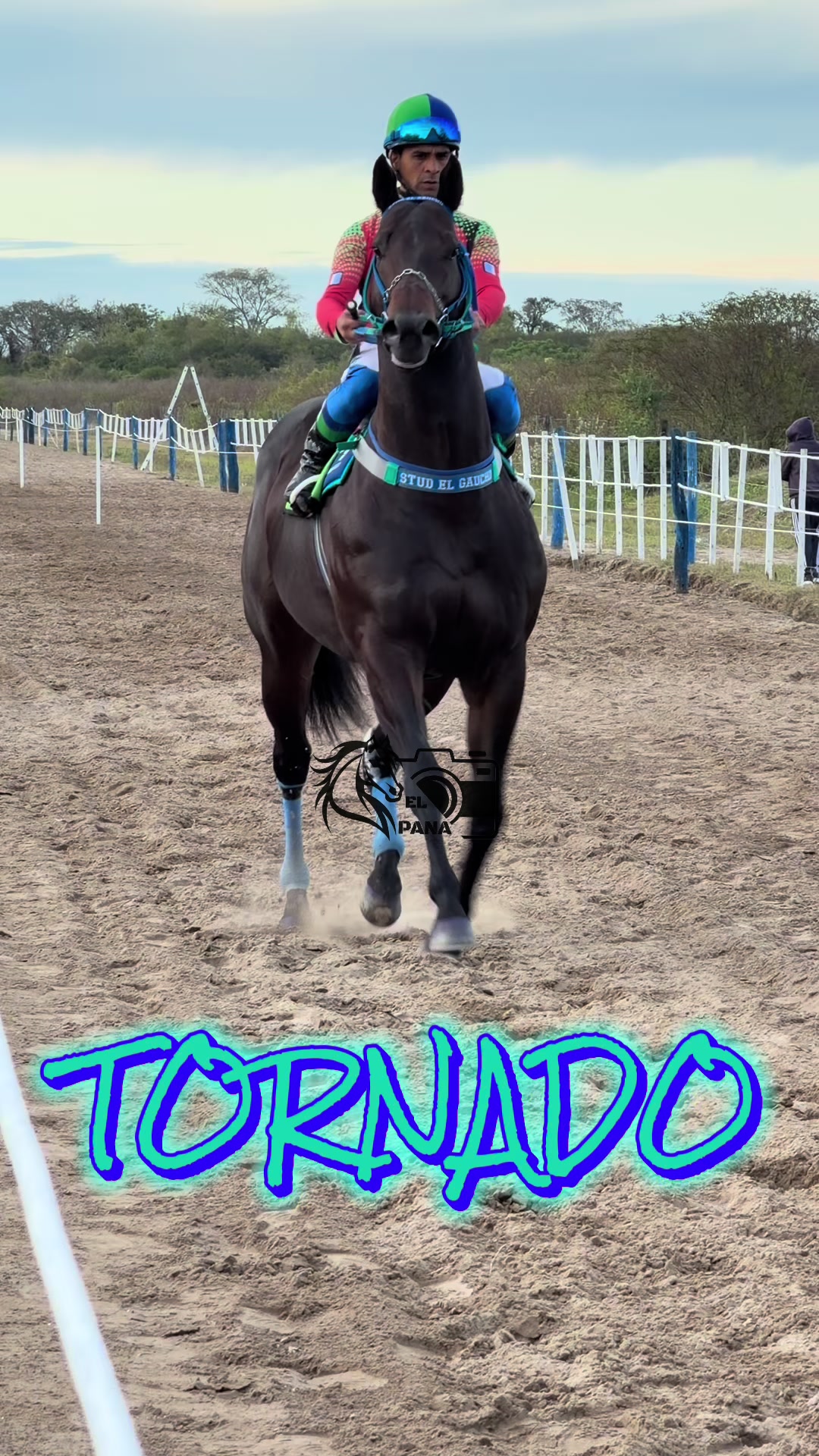 @el_pana_trh