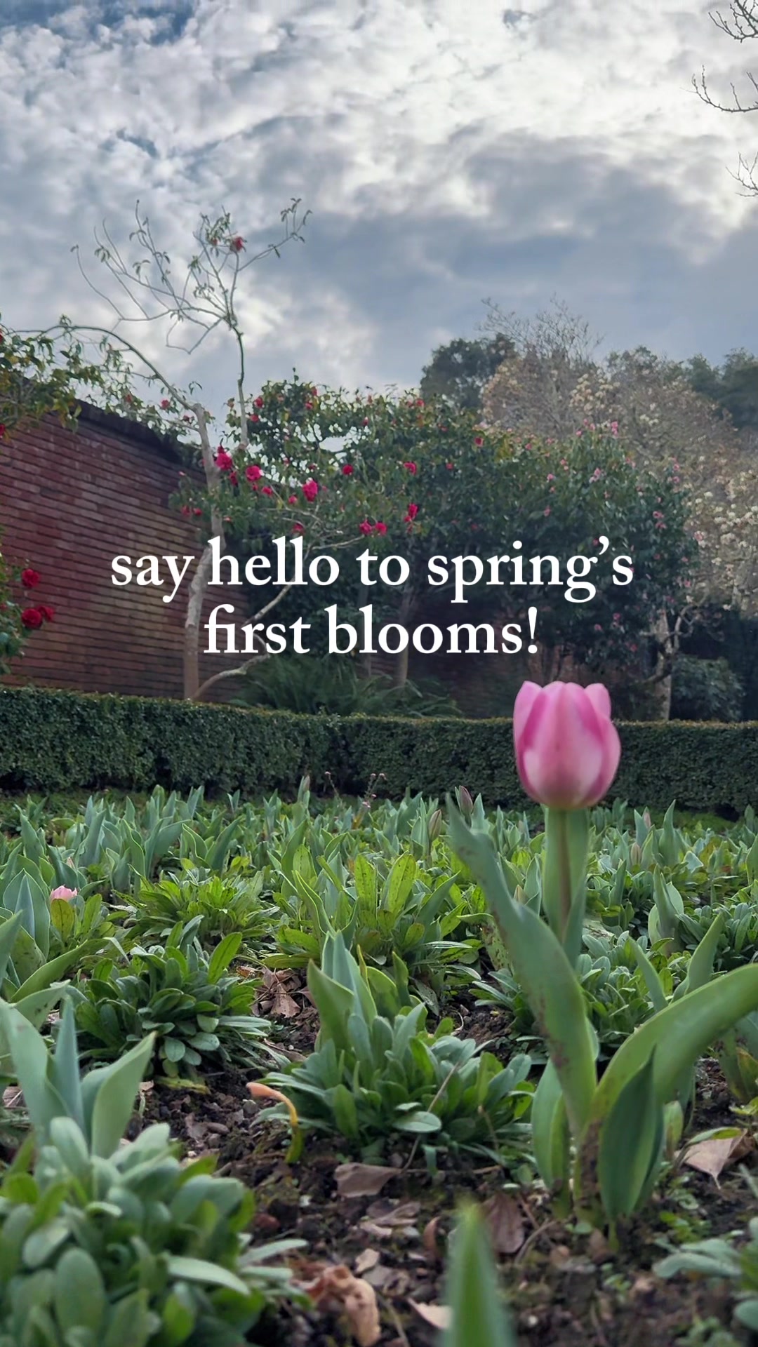 @Filoli