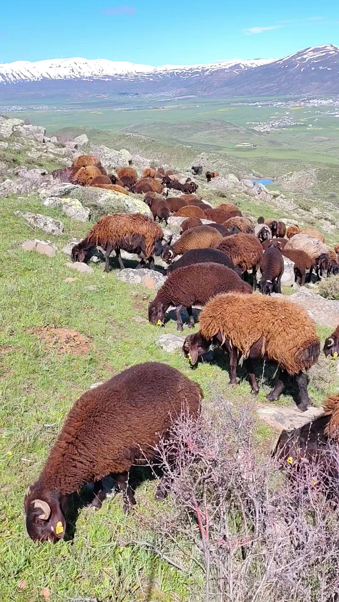 @adnan_&ouml;zcelik