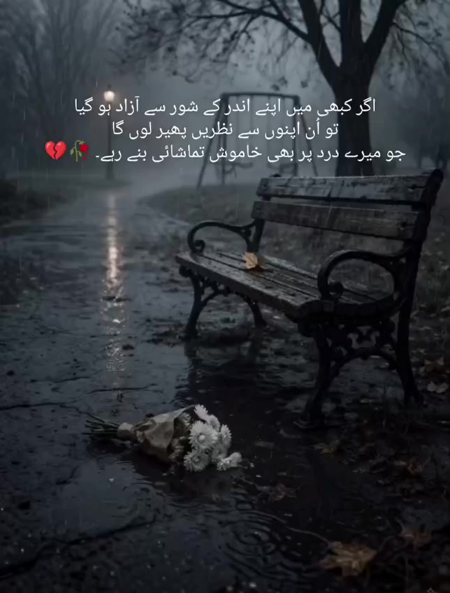@Qalab Ali 🥀🥀🥀