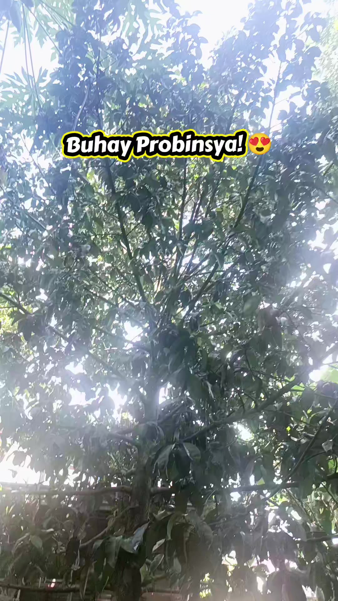 @Oh My ツ