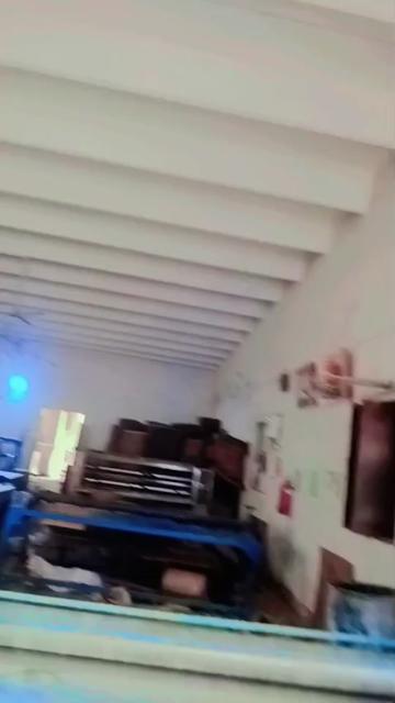 @user31882550428