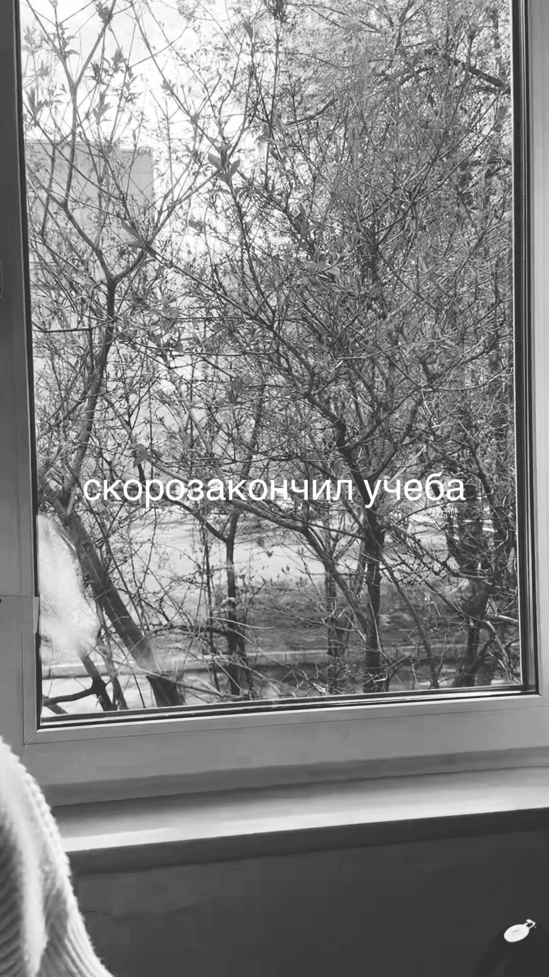 @5 отродий