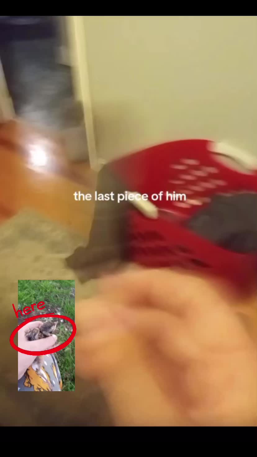 @๐๐บ๐ด๐ฉ๐ฌ๐ข๐ถ