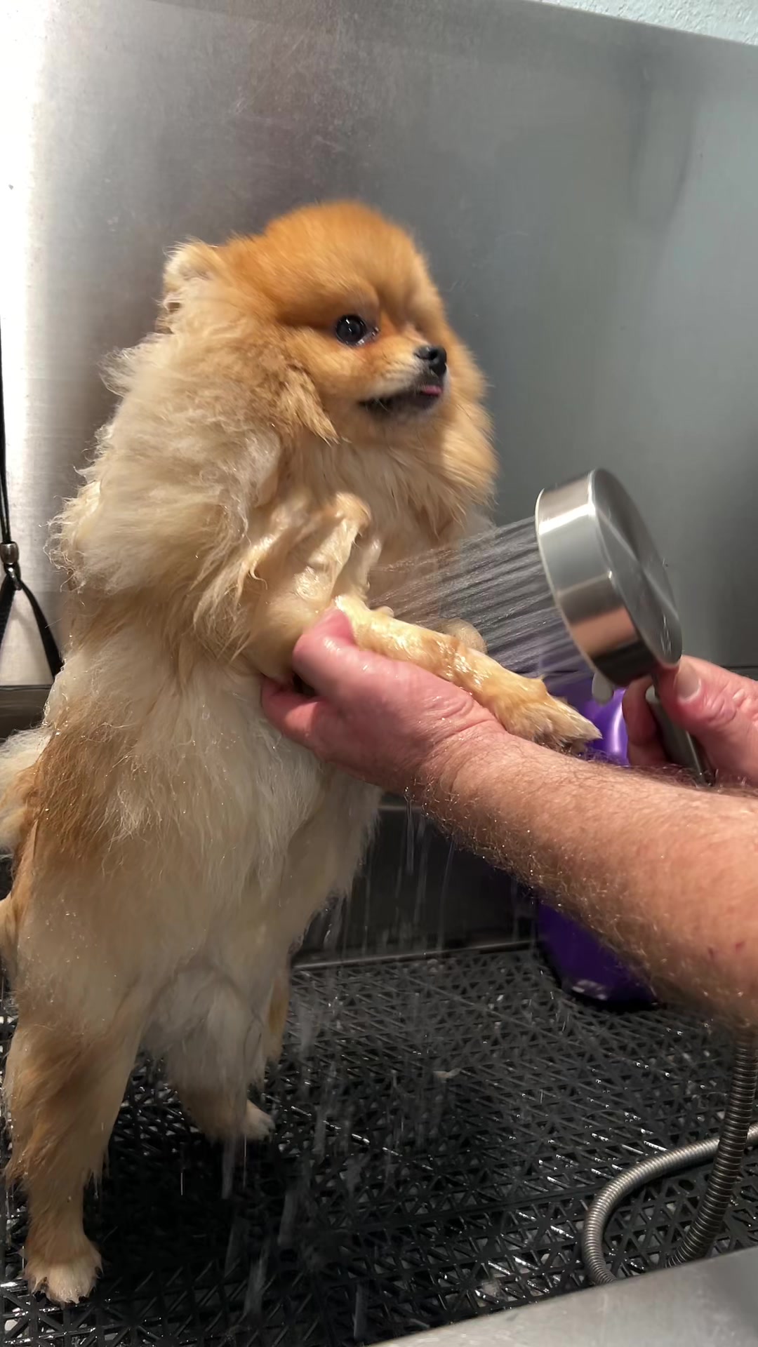 @Dog & Cat Planet