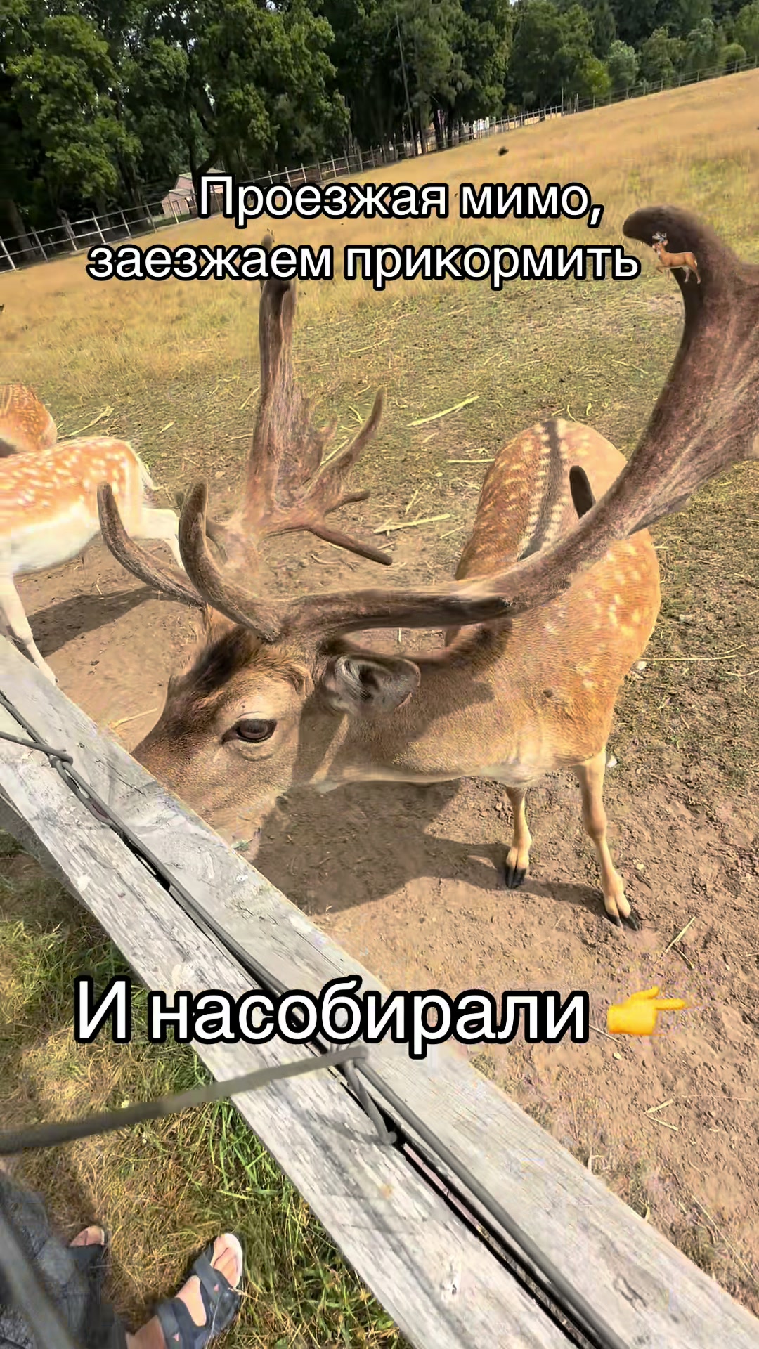 @Юлька