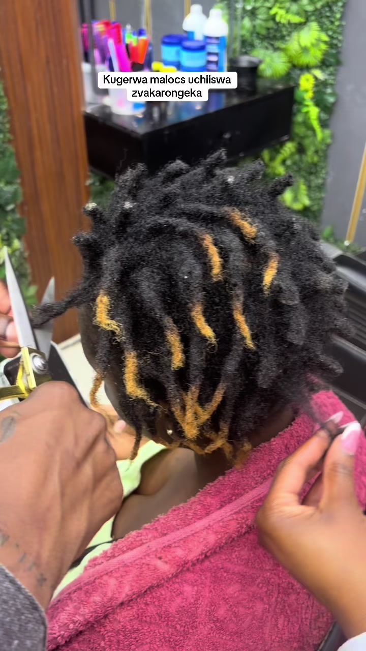 @Zim Twistlocs hair doctor👨⚕️