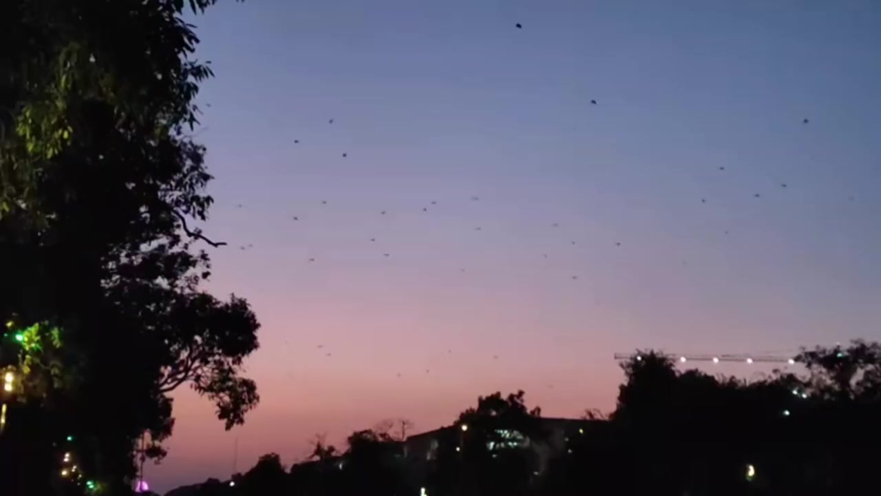 @B7F乛حسيب