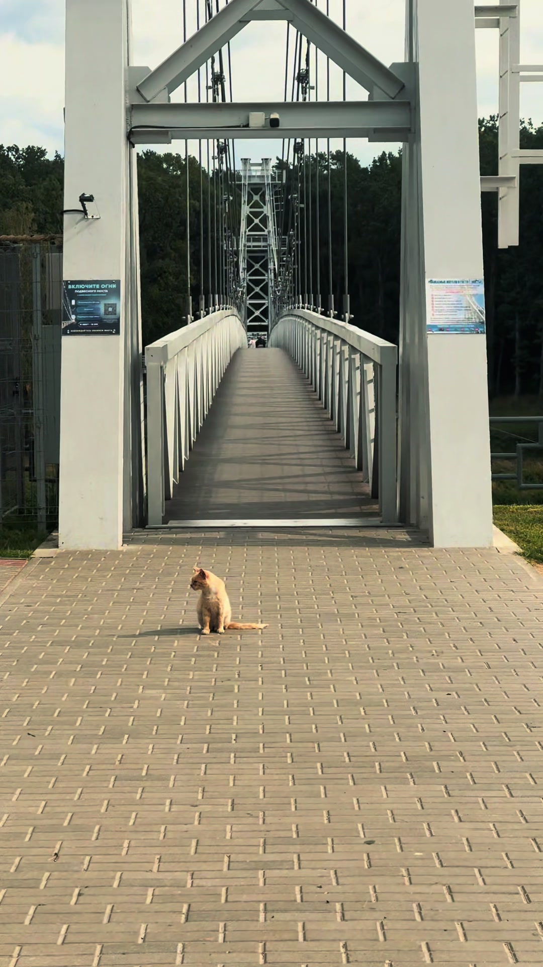 @Moviе