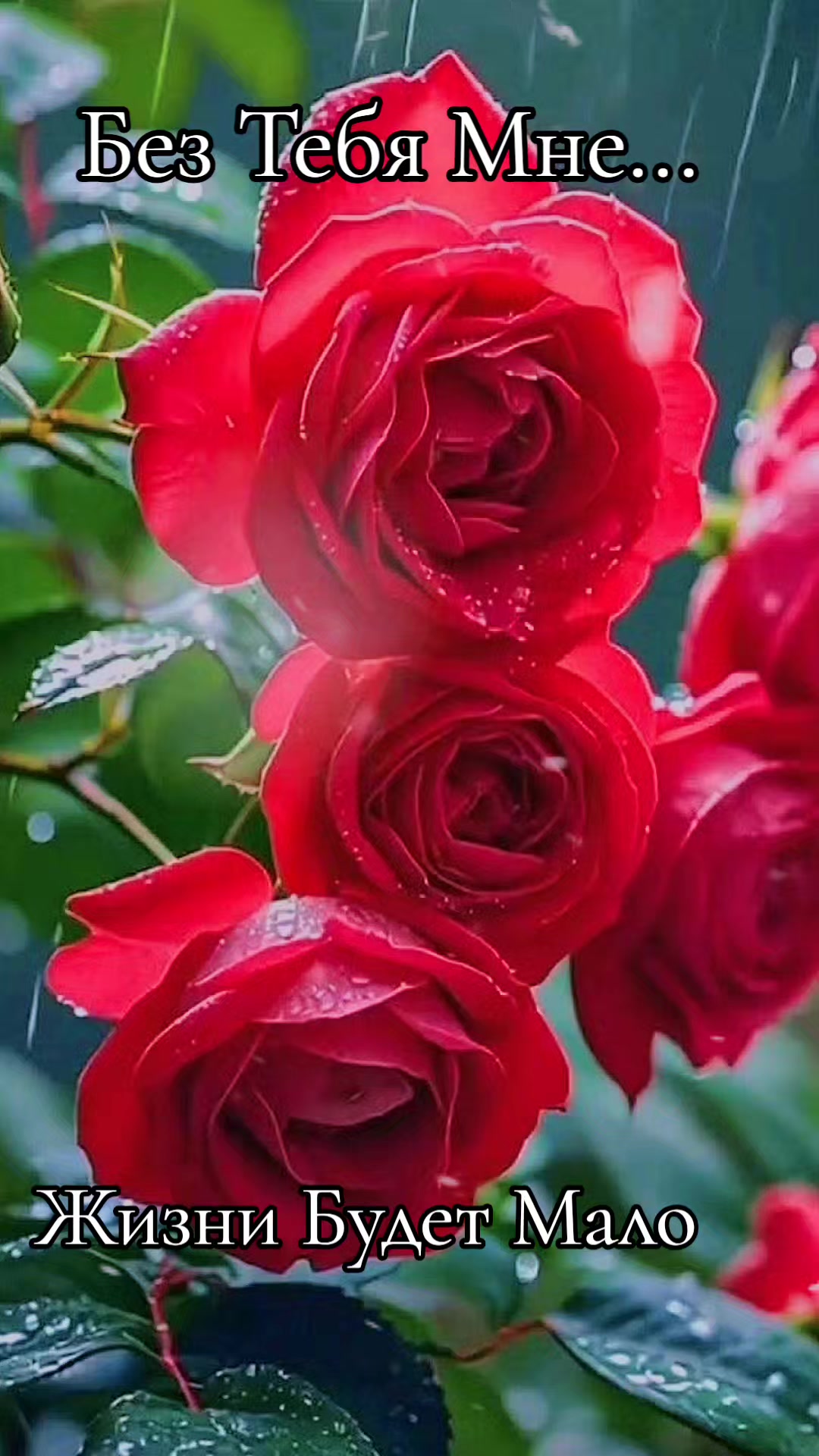 @ENJOY EVERY MOMENT!