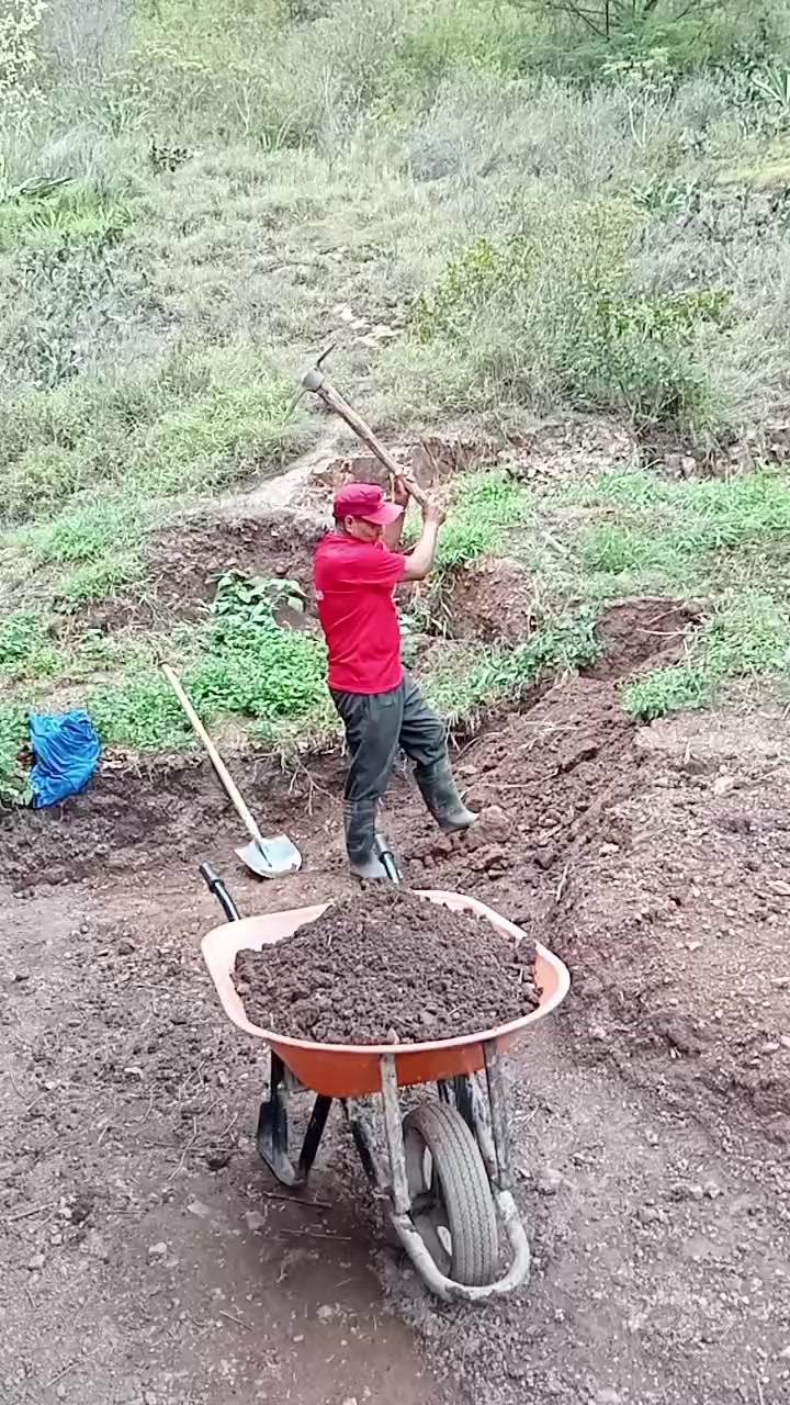 @Sebastian Vásquez