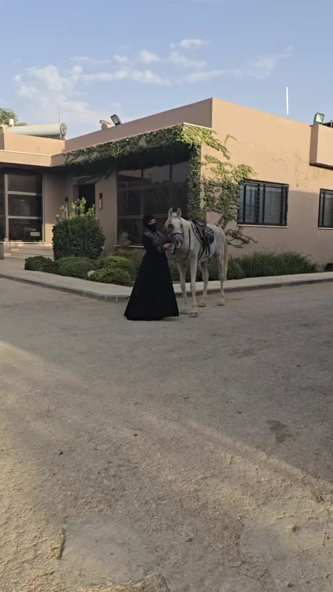 @الفارسة الملثمة 🐎🥷