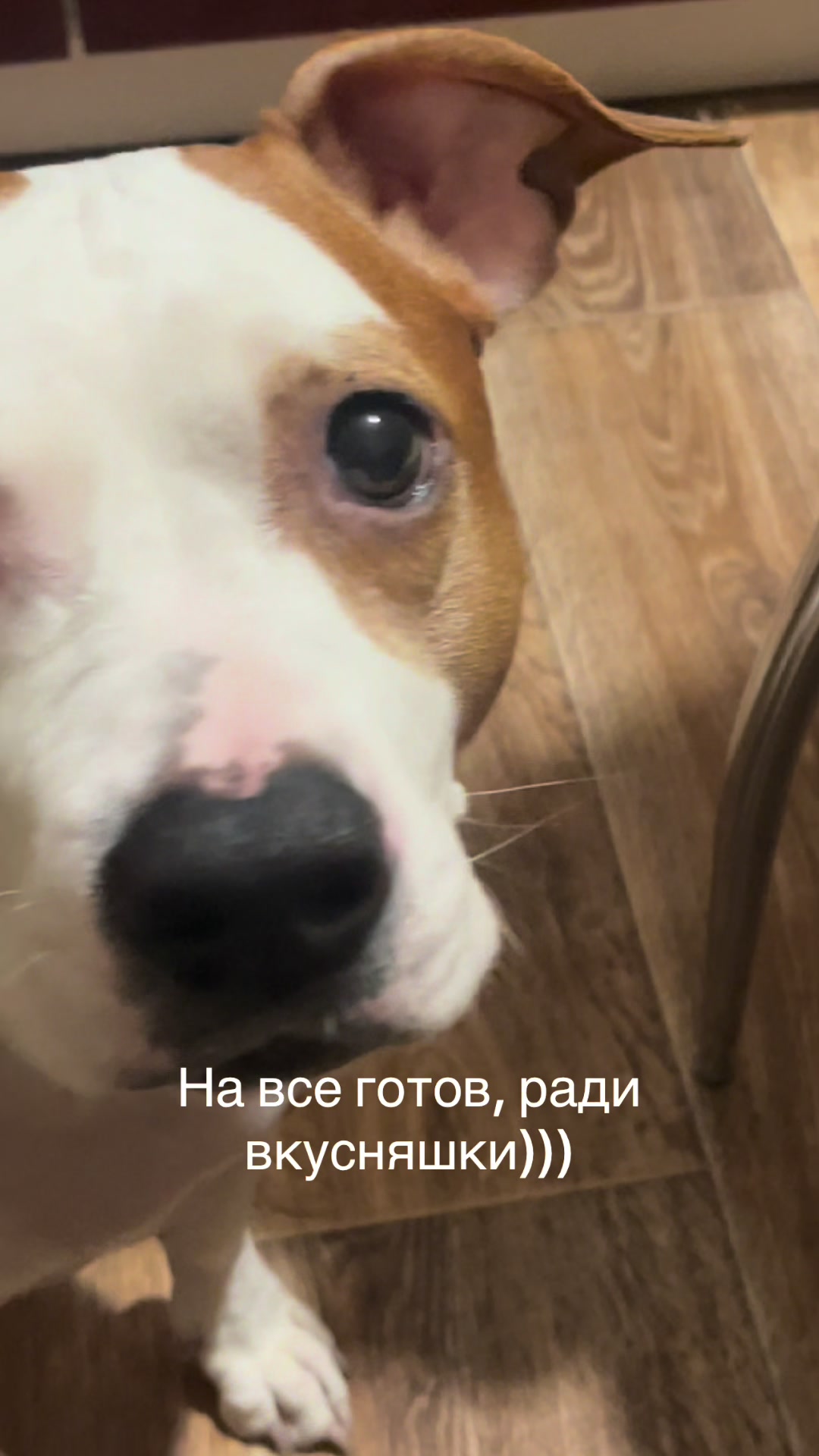 @Ирина Чижова