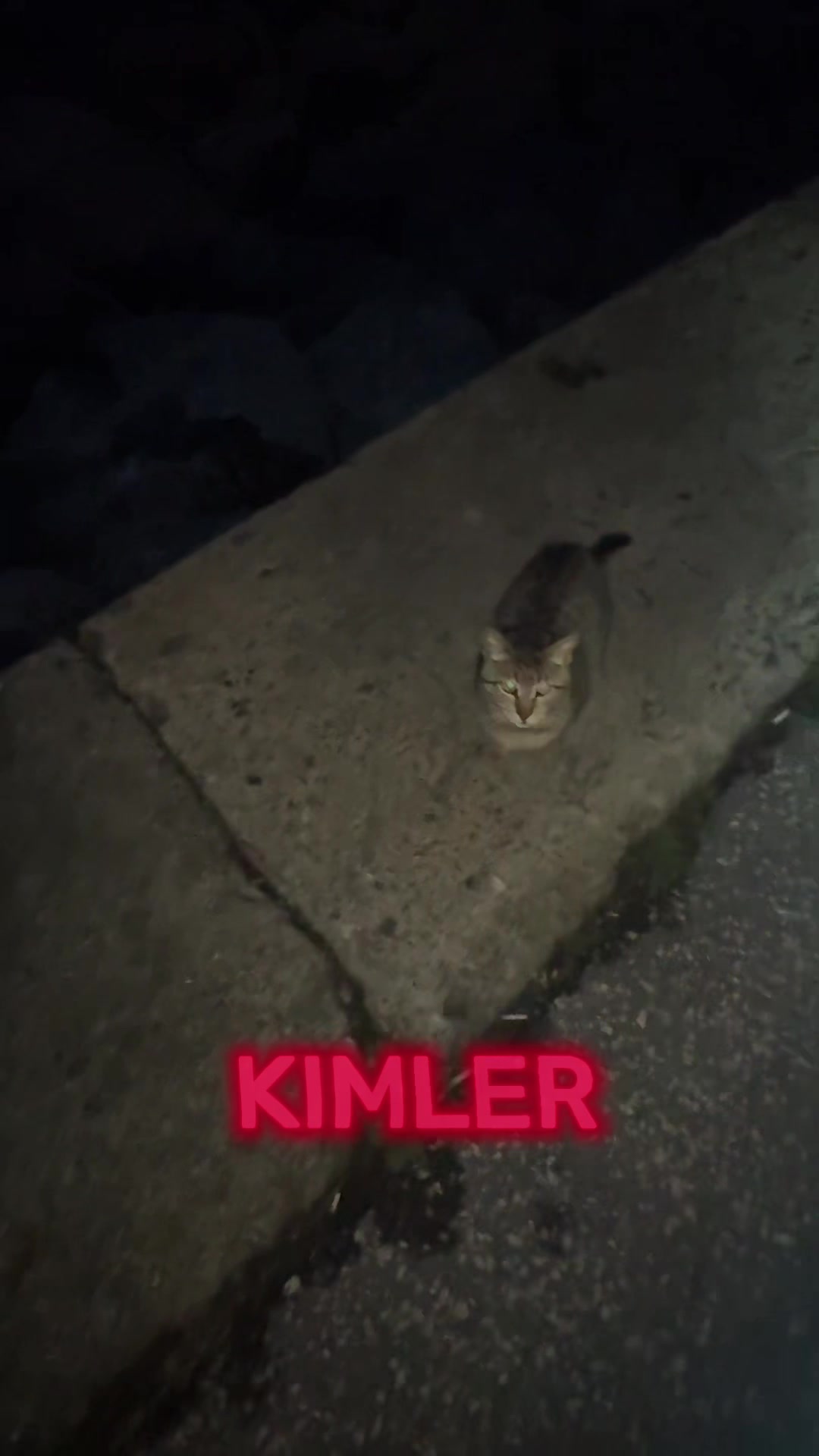 @Salim Kuntoğlu