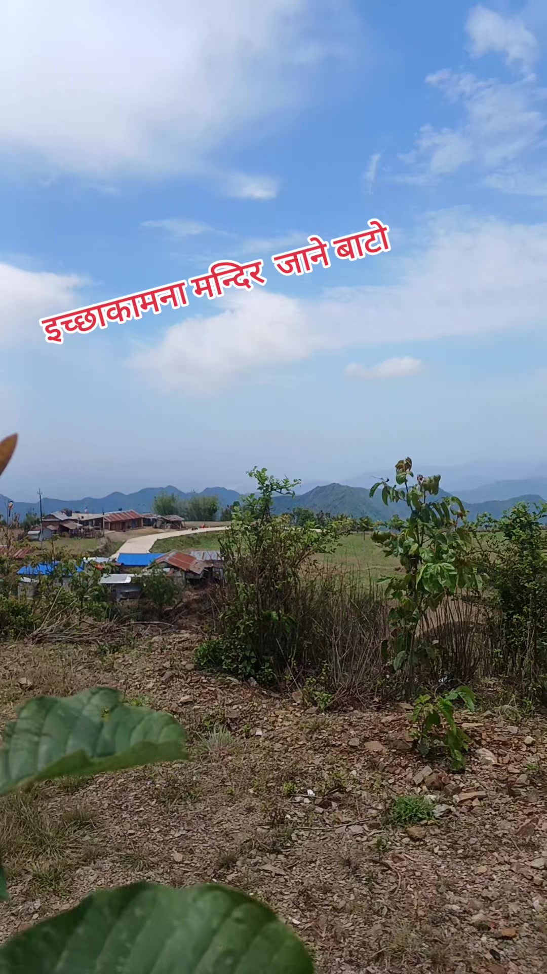 @devi ghimire