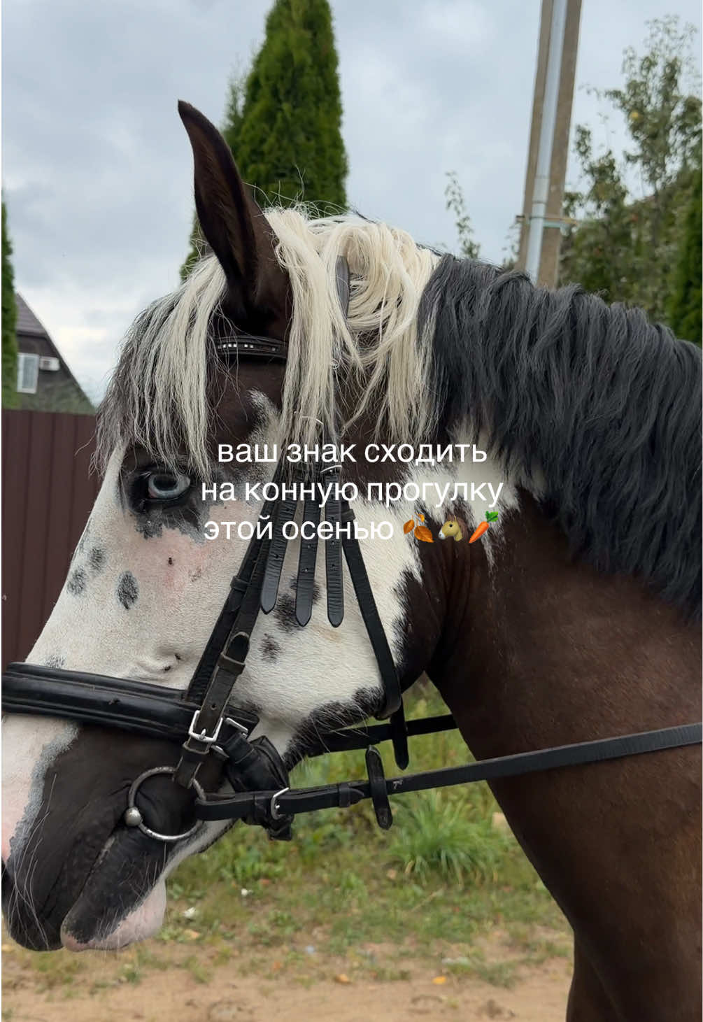 @тгк Zlata Says