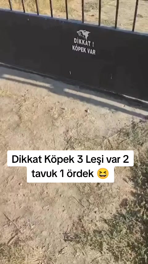 @nuri.35