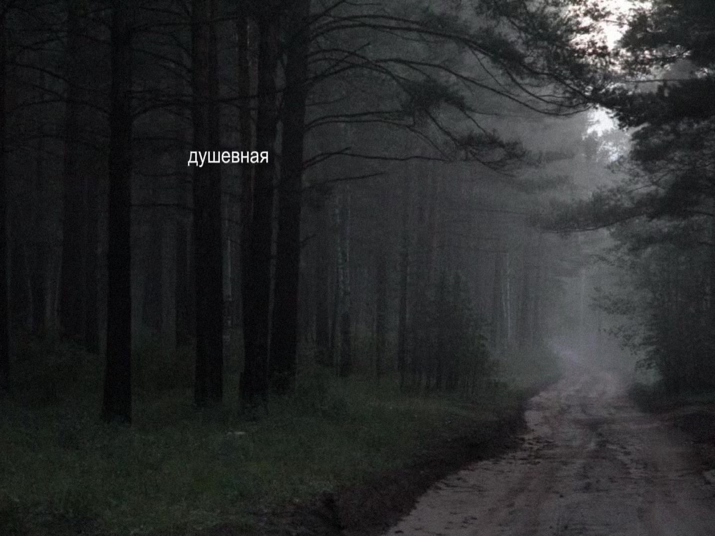 @𝒔𝒐𝒏𝒈𝒔