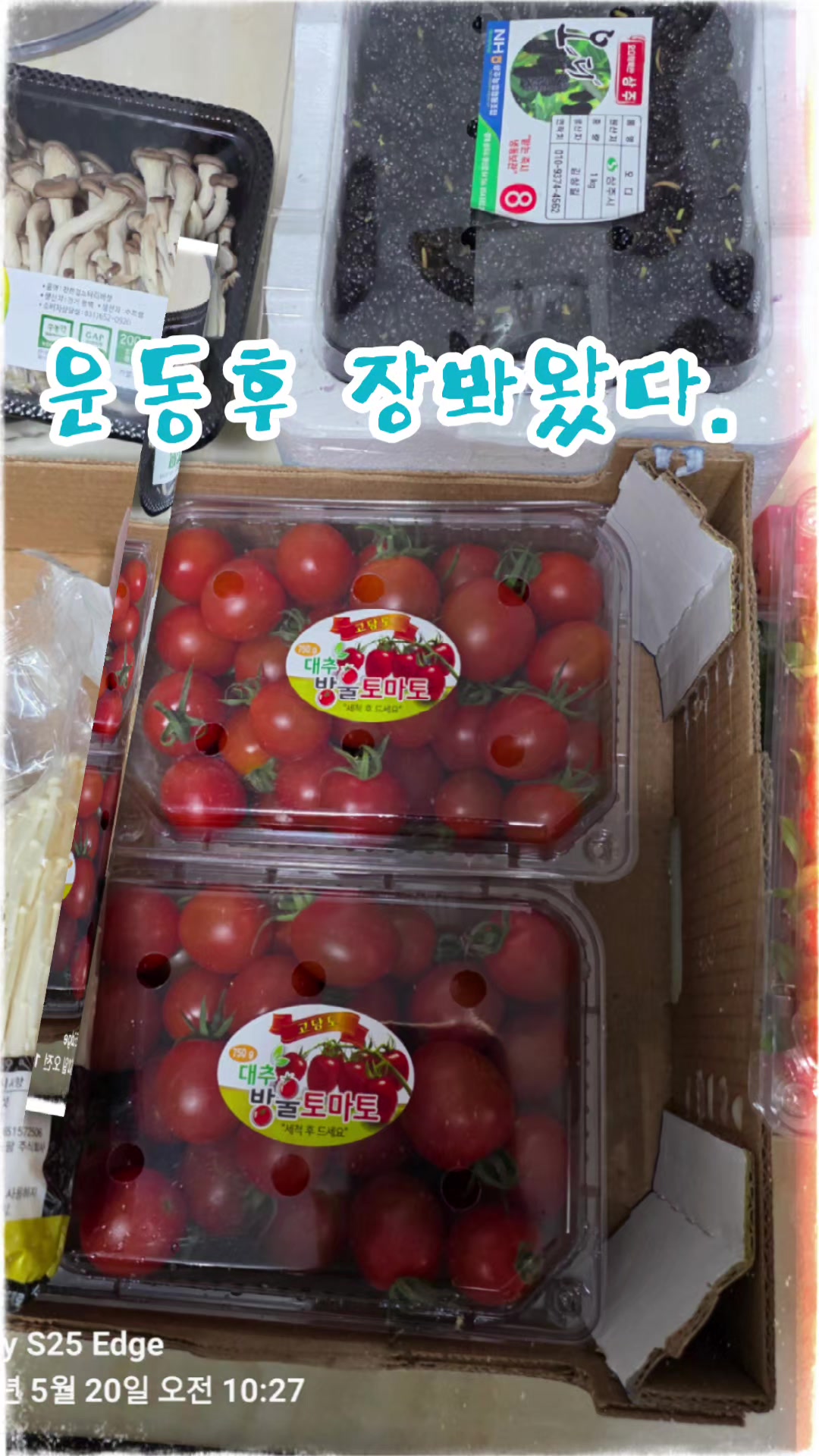 @신디☆