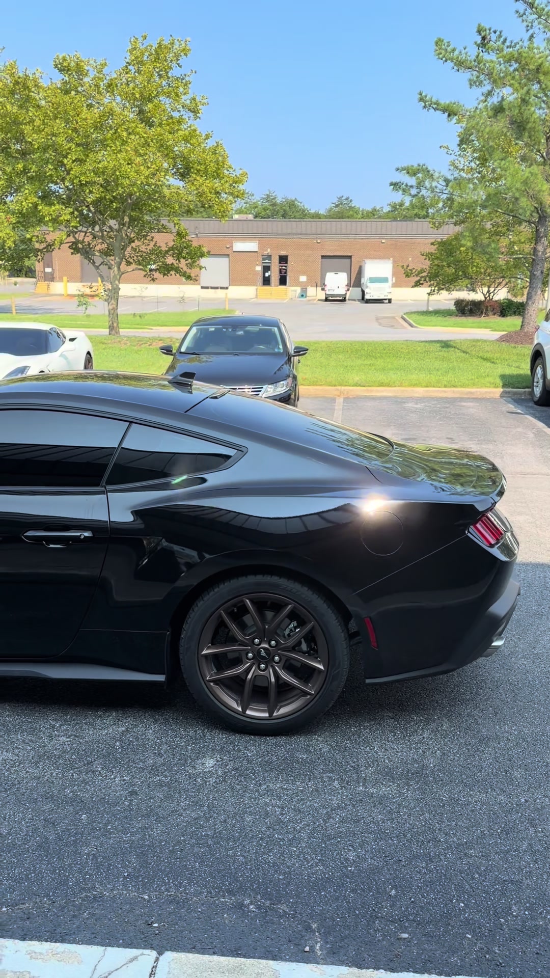 @Shadedarker_windowtinting