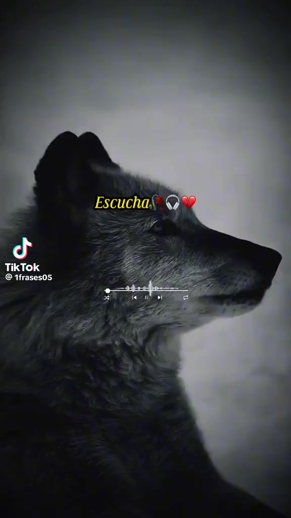 @Manuel Duarte268