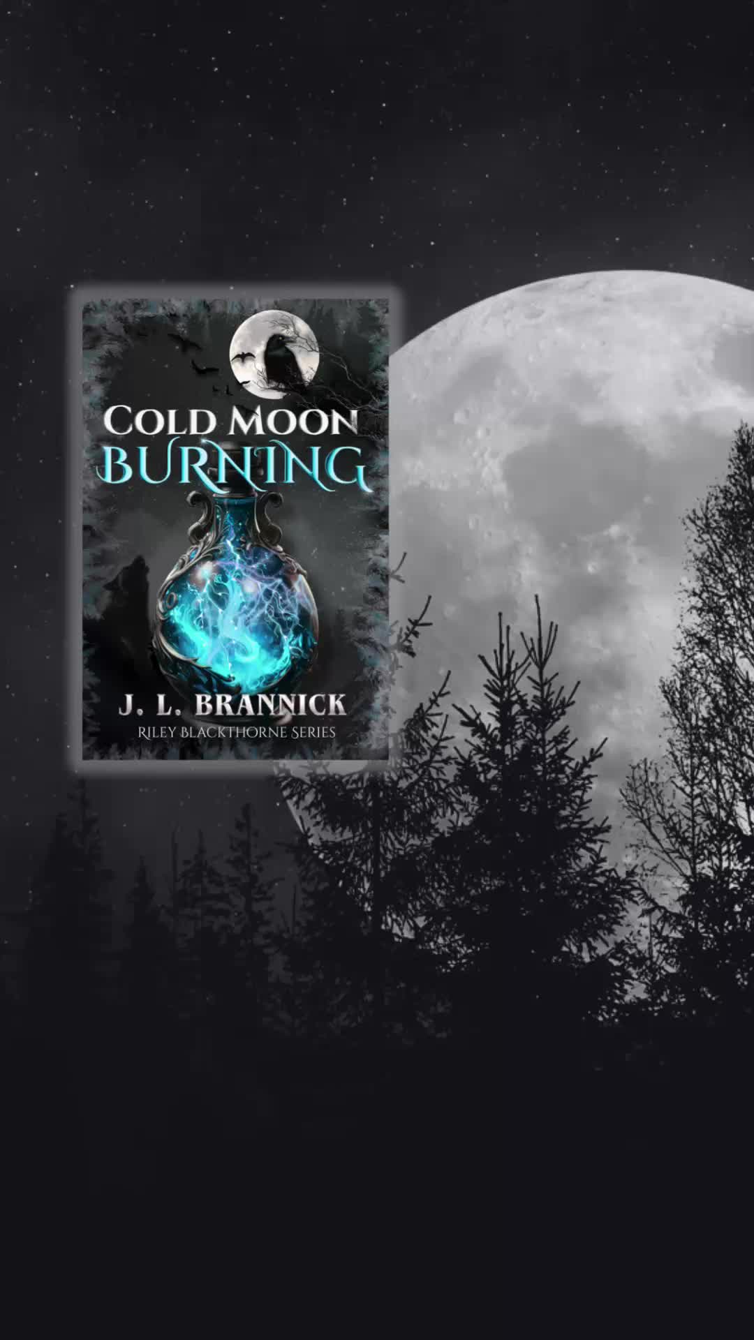 @Jlbrannick.writes