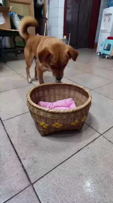 @Funny