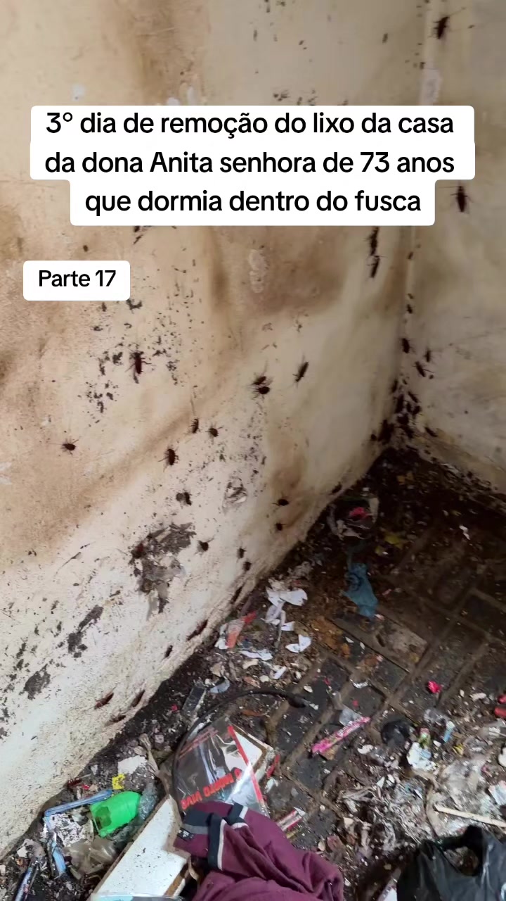 @Fã do Diárias do Gui 💙