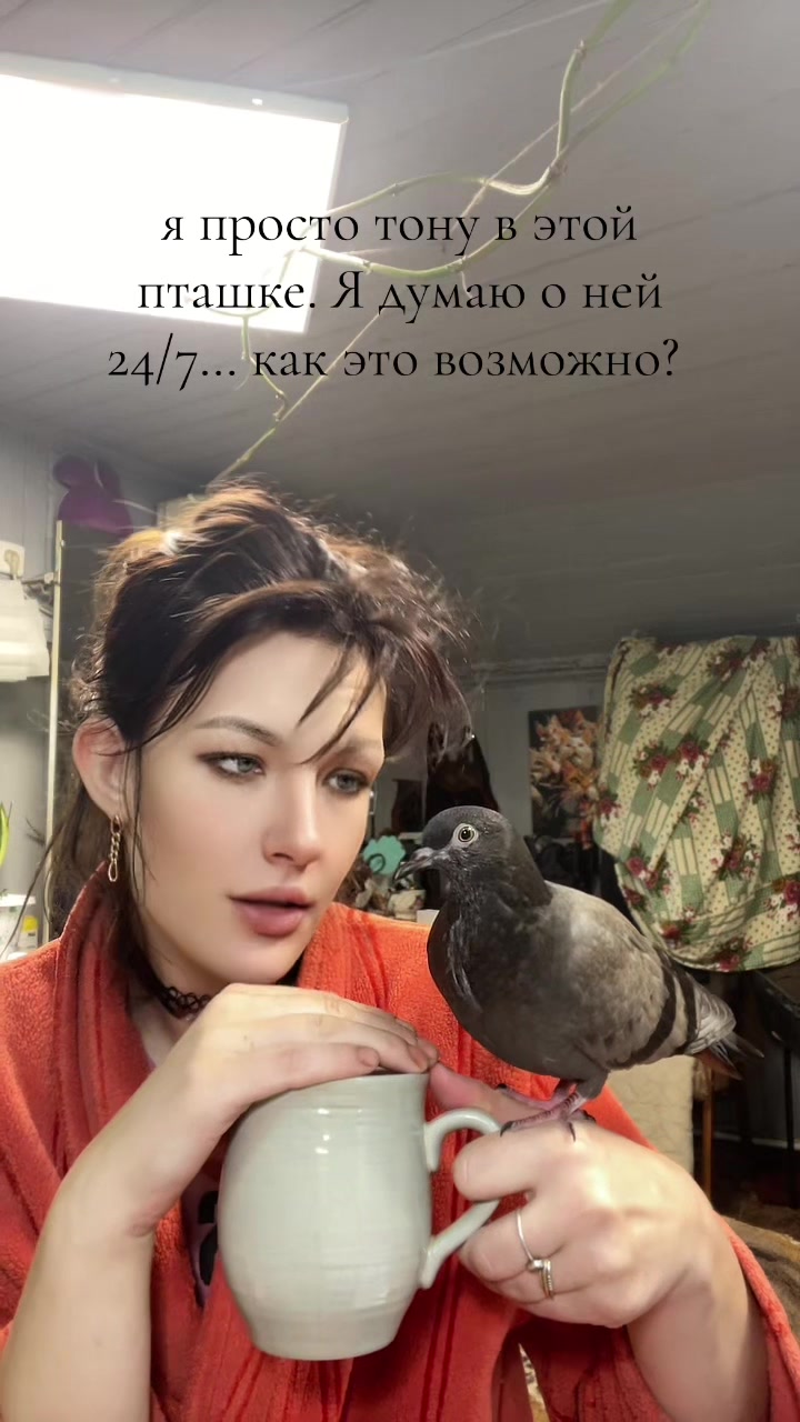 @Lubastiks
