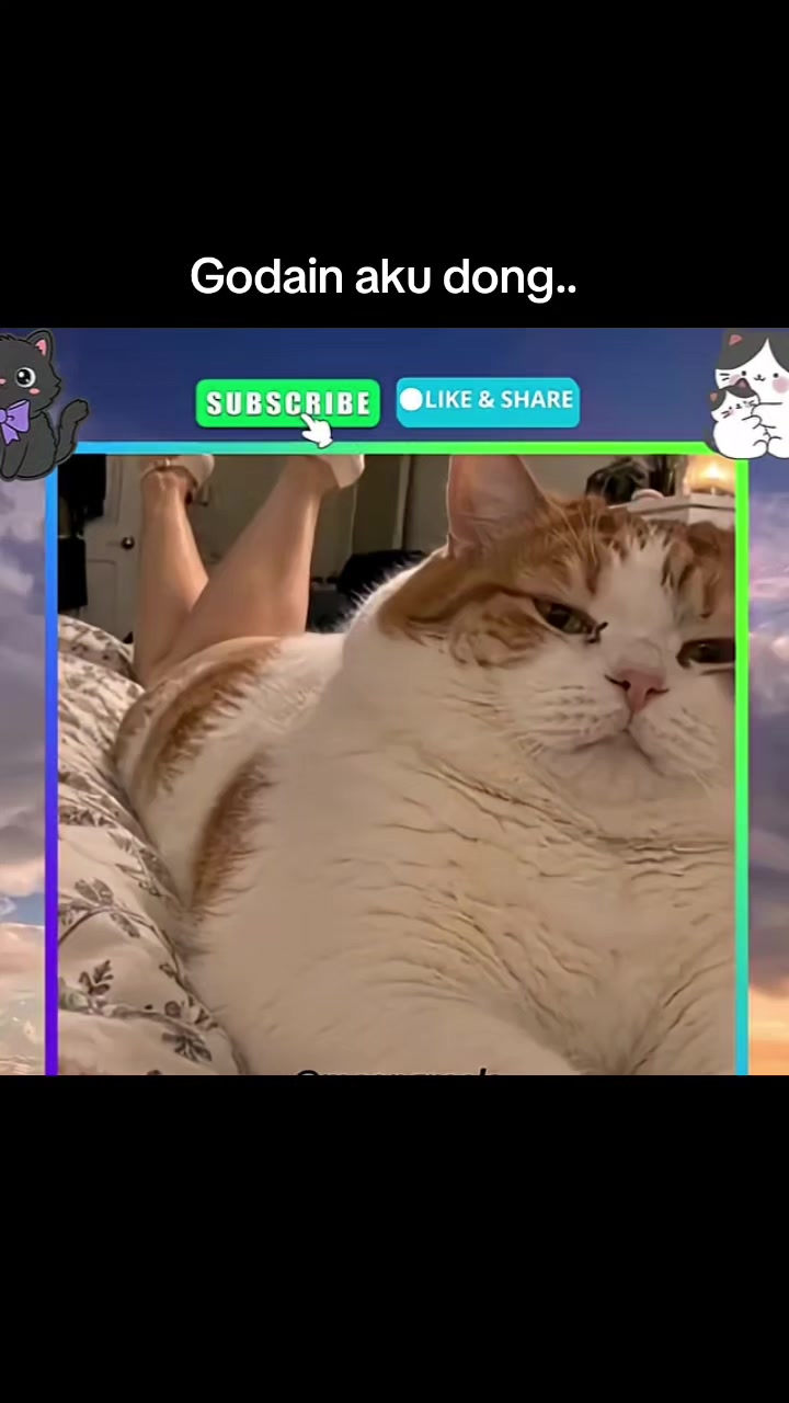 @Kiki